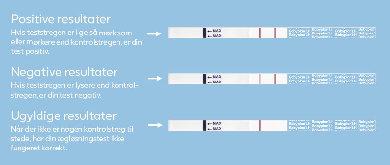 Sådan aflæses resultaterne på en LH-strimmeltest