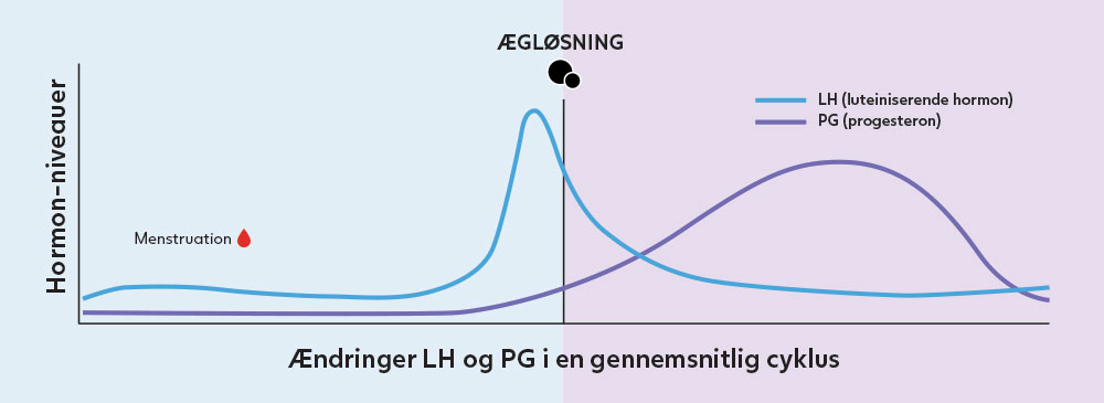 Hormon niveauer i en gennemsnitlig cyklus